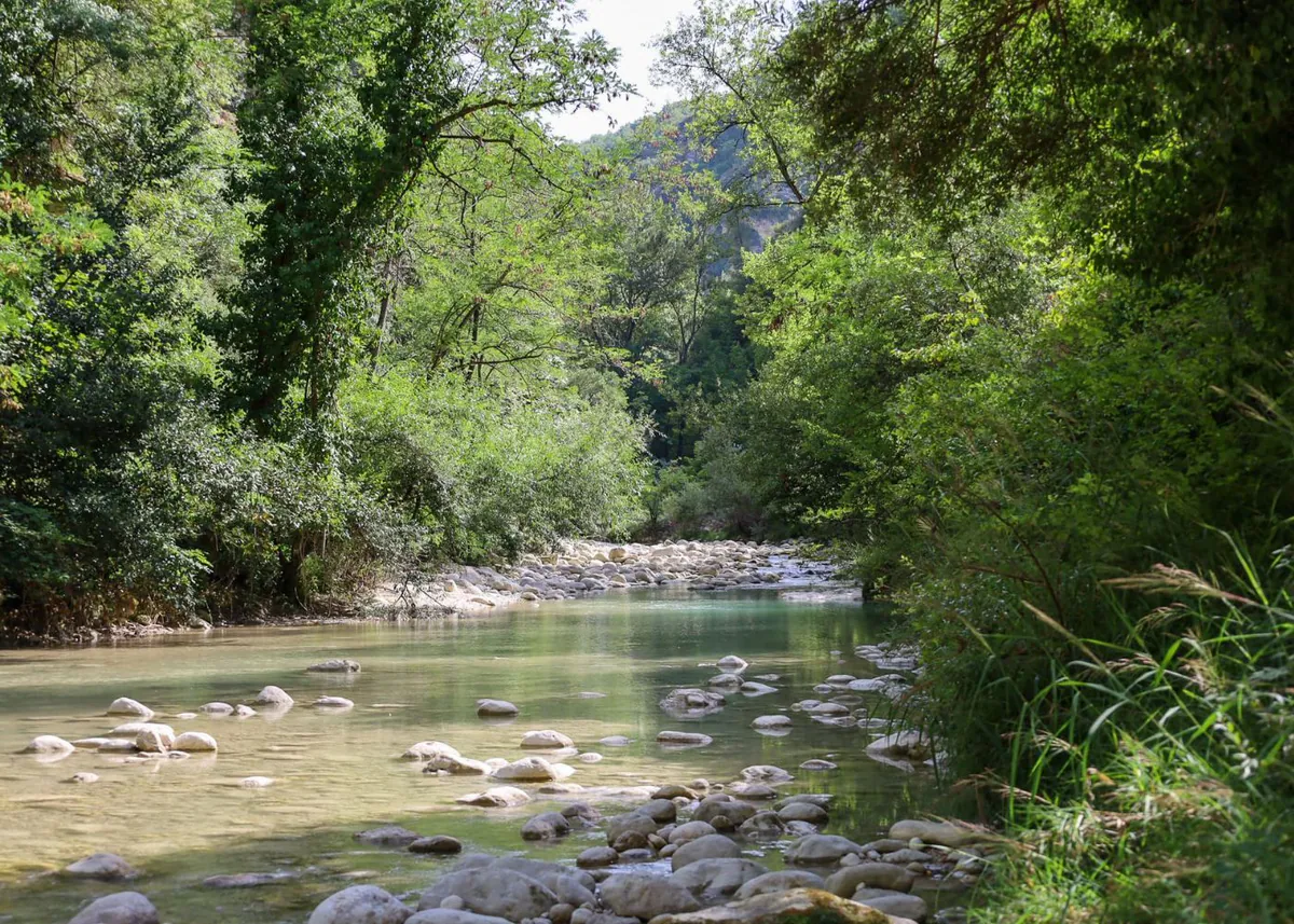 Ein Bach im bewaldeten Valle dell’Orfento im Majella-Nationalpark