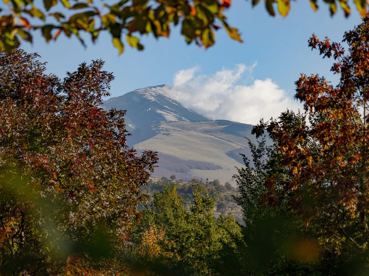 Herbstlaub rahmt den Blick auf einen frisch verschneiten Berg