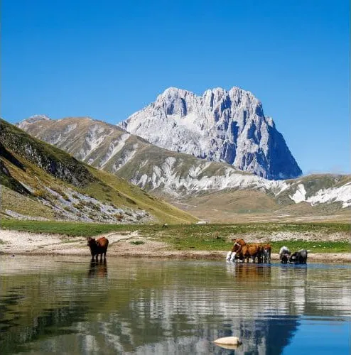 Tiere am Bergsee vor dem Corno Grande