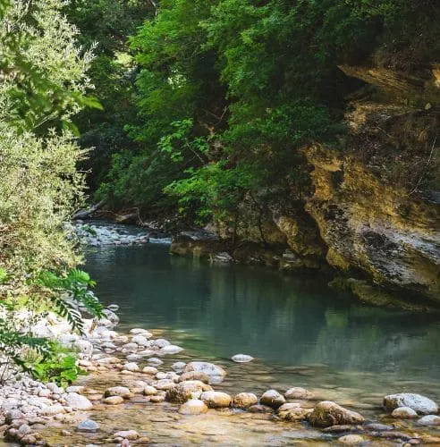 Fluss mit türkisem Wasser in einer bewaldeten Schlucht