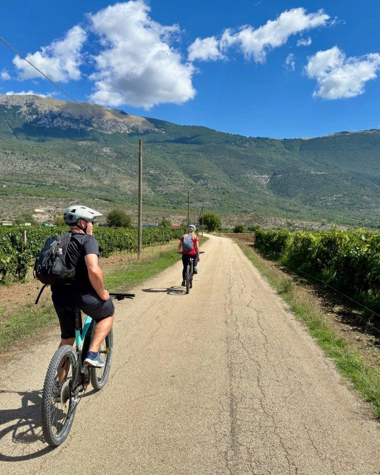 Banner - Mountainbike