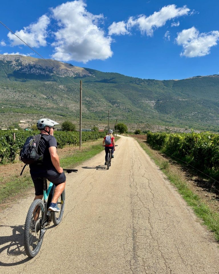 Banner-Mountainbike.jpeg