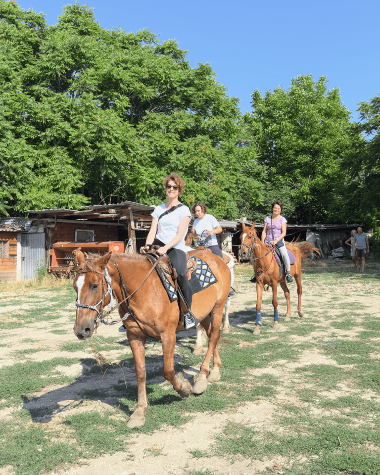 Banner-Reiten.png